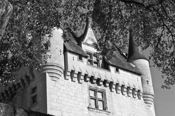 Saint Léon sur Vézère (Dordogne)