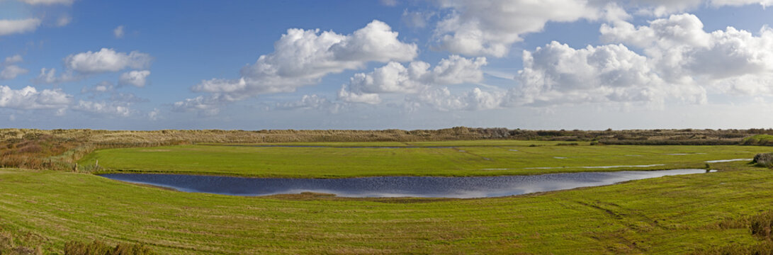 Landschaft auf Texel