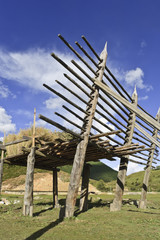 Fototapeta na wymiar Barley drying on wooden rack on Tibetan farm, Yunnan, China