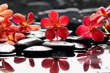 Fototapete Schöne rote Orchidee mit Therapiesteinen © Mee Ting