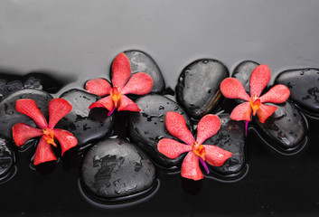 Beautiful red orchid with therapy stones 