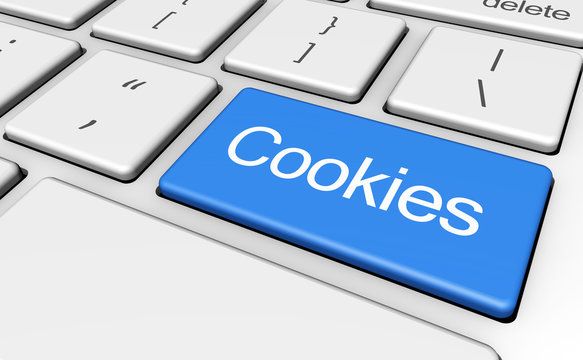 Website Cookies Concept