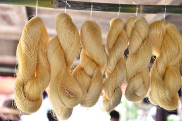 Sericulture