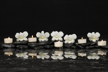 Row of five orchid with white candle therapy stones 