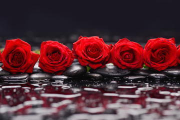 Still life with row of red rose and wet stones 