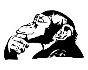 Naklejka premium Monkey head (graphics) - the chimp's thinking