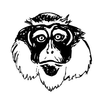 Monkey head (abstraction) - sad