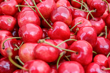 Red cherry fruits