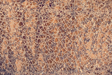 Silver gossamer lace