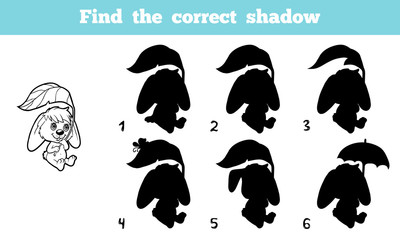 Find the correct shadow (rabbit)
