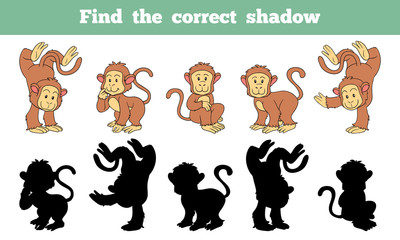 Naklejka premium Find the correct shadow (monkey)