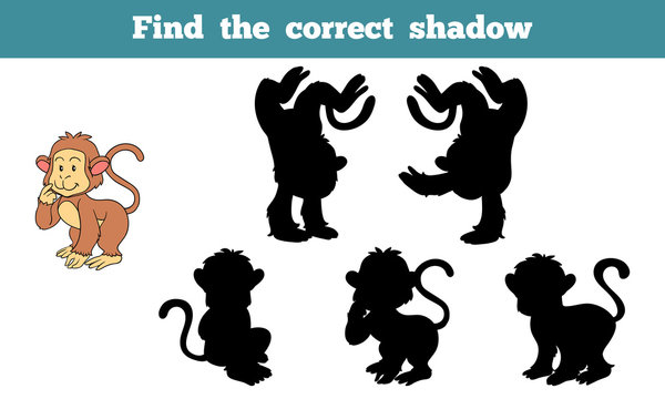 Find The Correct Shadow (monkey)