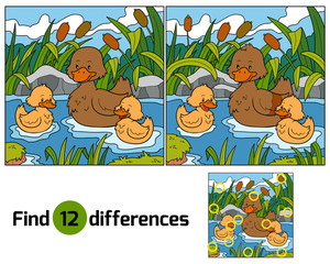 Find differences (duck)
