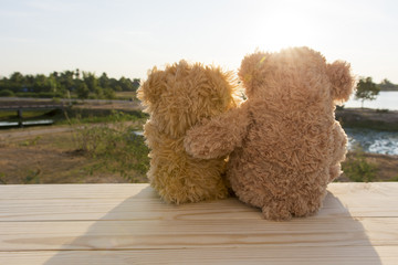 Teddy bears watching sunrise