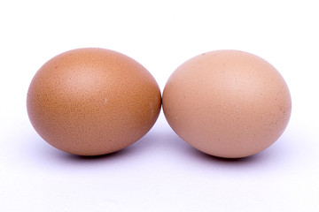 Egg on white background