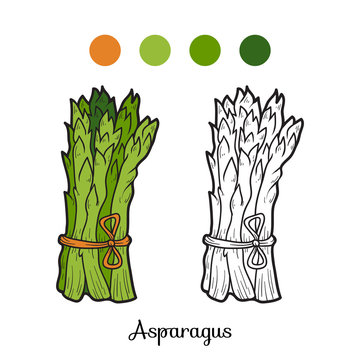 Coloring book: fruits and vegetables (asparagus) Stock Vector | Adobe Stock