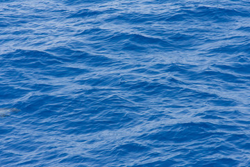 Blue  Water  Background