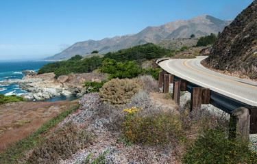 Naklejka premium Pacific Coast Highway: California Highway 1 curves along a mountainous shoreline amid a variety of plants that grow in the dry coastal climate south of Carmel. 