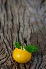 oranges (Citrus Japonica Thunb) on a wooden
