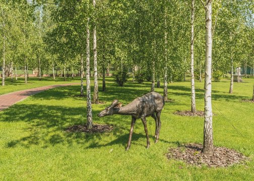 Березовая роща в парке