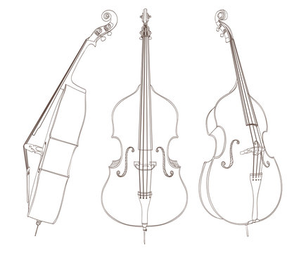 contrabass drawing on white. vector illustration