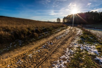 Early winter field landscape