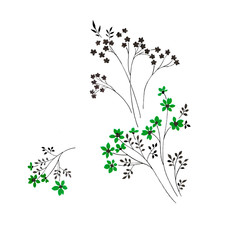 싸리꽃과 데이지의 줄기와 잎새의 흐름