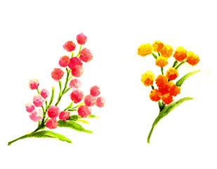 핑크와 오렌지 방울 꽃 두묶음
