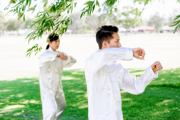 People practicing thai chi in park