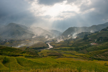 Fototapeta premium Terraced rice field in rice season in Sapa, Vietnam