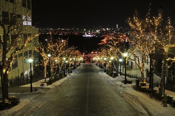Fototapeta na wymiar 函館八幡坂の夜景