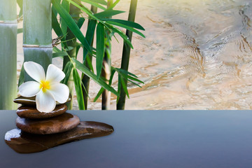 plumeria on pepbble rock with bammboo tree and water surface beh