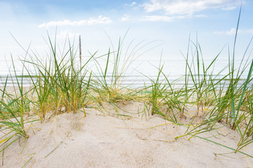 Panele Szklane Podświetlane  Bałtycka plaża