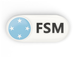 Round icon with flag of micronesia