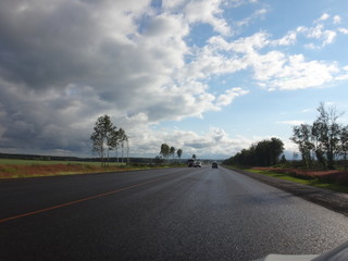 Fototapeta premium Дорога с разметкой в солнечный летний день под голубым небом с облаками