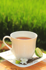Tea and nature 1