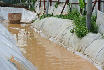 Sediment pond at the construction site. 