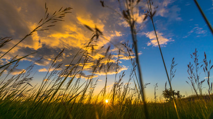 Закат солнца в полях Сибири, Россия