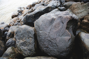 Ancient petroglyphs found on shore of Amure river.