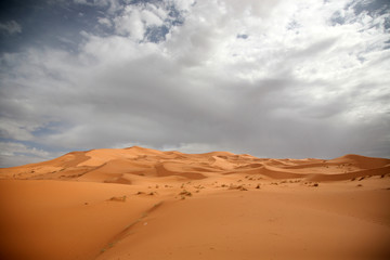 Obraz na płótnie Canvas The Sahara7