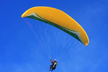 Paraglider