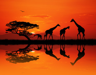 giraffe silhouette in African landscape