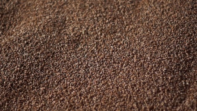 pan right dolly shot over tons of wheat