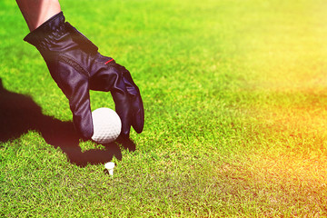 Hand in black glove with golf ball on green grass background