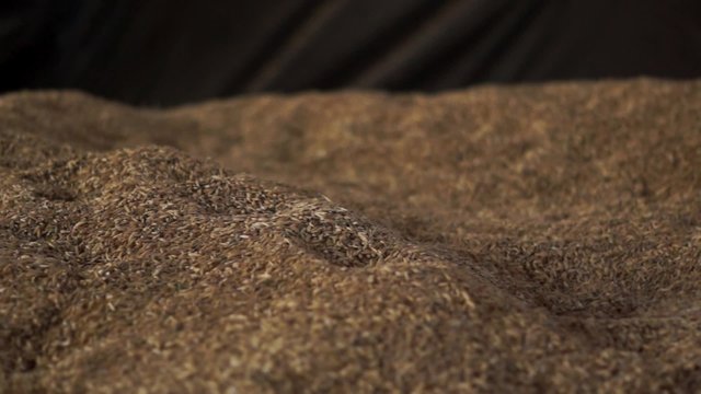 close up dolly shot over tons of oat