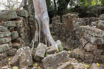 Ta Prohm temple