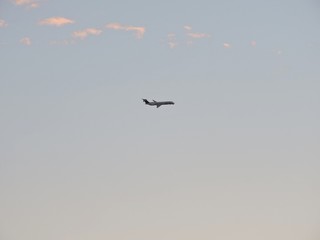plane overhead