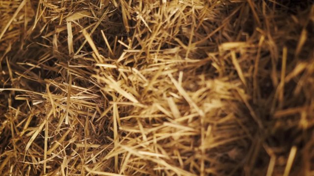 close up of straw inside of a barn - dolly shot
