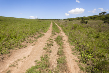 Fototapeta na wymiar Dirt Road wilderness summer landscape