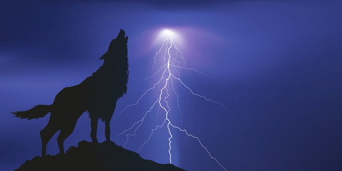 Obraz premium Loup_Storm Lightning